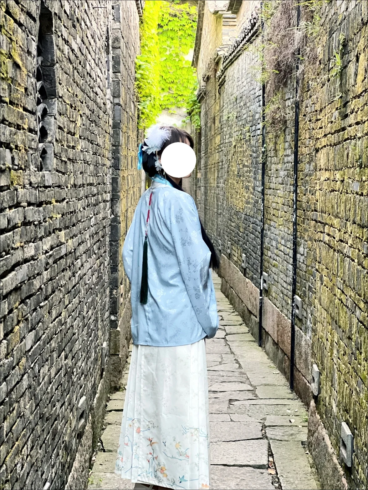 Pmwrun-Robe Vintage Ming Hanfu pour Femme, Style Chinois, Col Croisé, Jupe Cheval, Printemps, Rétro