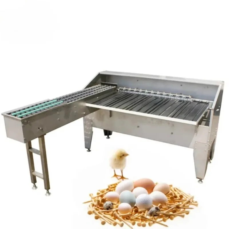 3000 Pcs/h 7 Graded by Weight Egg Sorter Processing Grading Machine 5000 Pcs 5 Grade Advanced Egg Sorting Machine