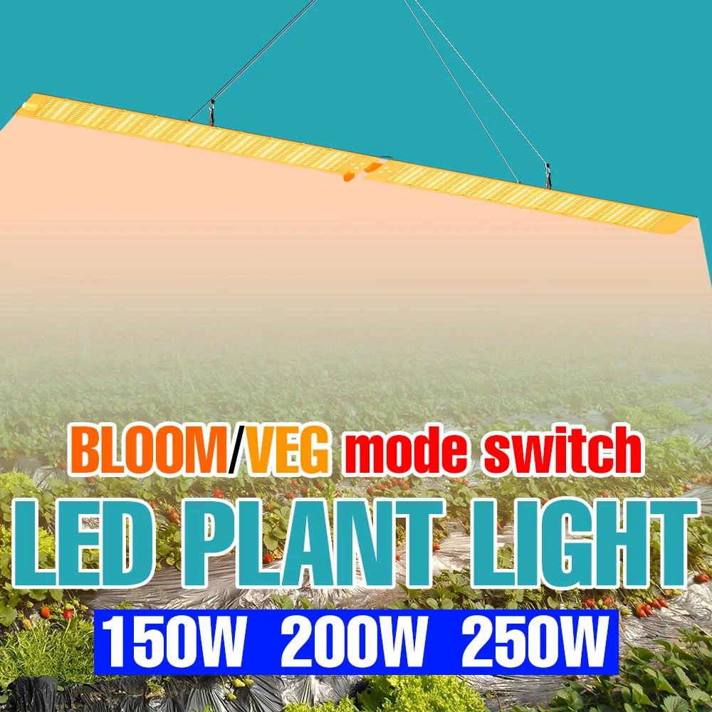 250w-led量子ボード植物育成ライト-フルスペクトル-水耕栽培用補助ランプ-uv-ir-温室野菜多肉植物栽培照明