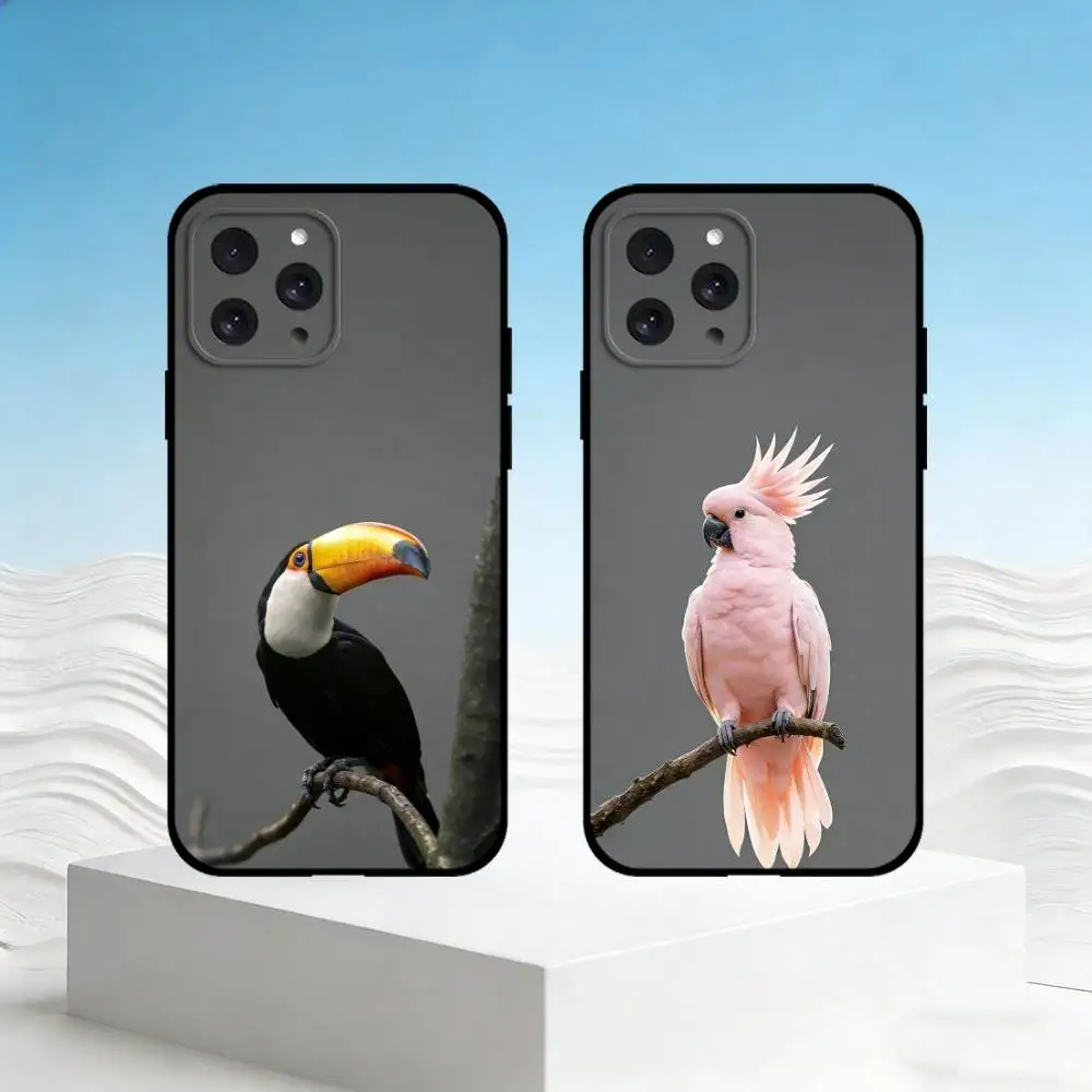 

P-parrot Phone Case For iPhone 17,16,15,14,13,12,11 Plus,Pro Max,SE4Soft Silicone Black Cover