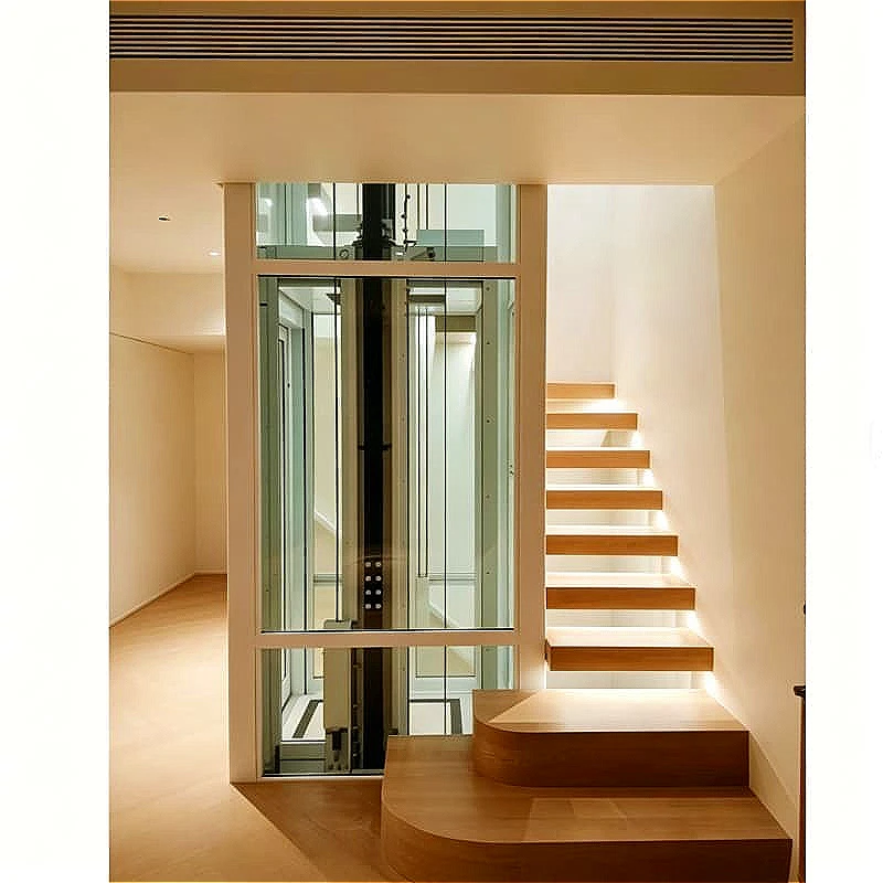Pitless Home Elevator Shaftless Design 300kg 0.3m/s 3 Stops No Basement For Existing House Renovation Customized
