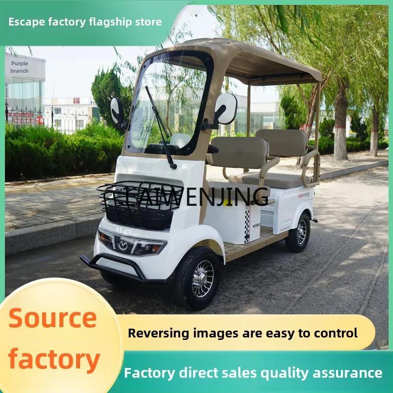 LYN electric four-wheeler elderly pick-up and drop-off children sightseeing battery car