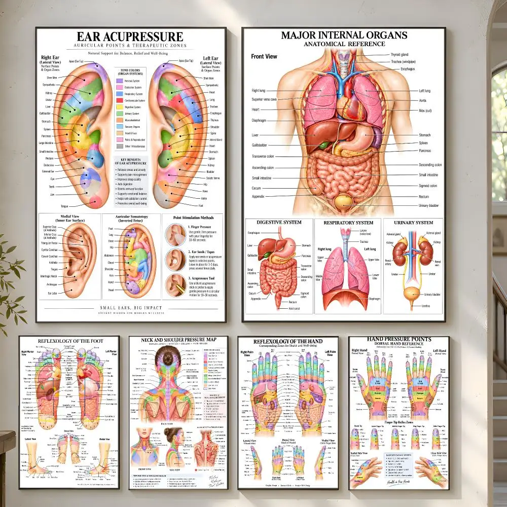 Full Body Reflexology Guide Poster Home Artwork For Living Room Bedroom Office Dorm Apartment Gift