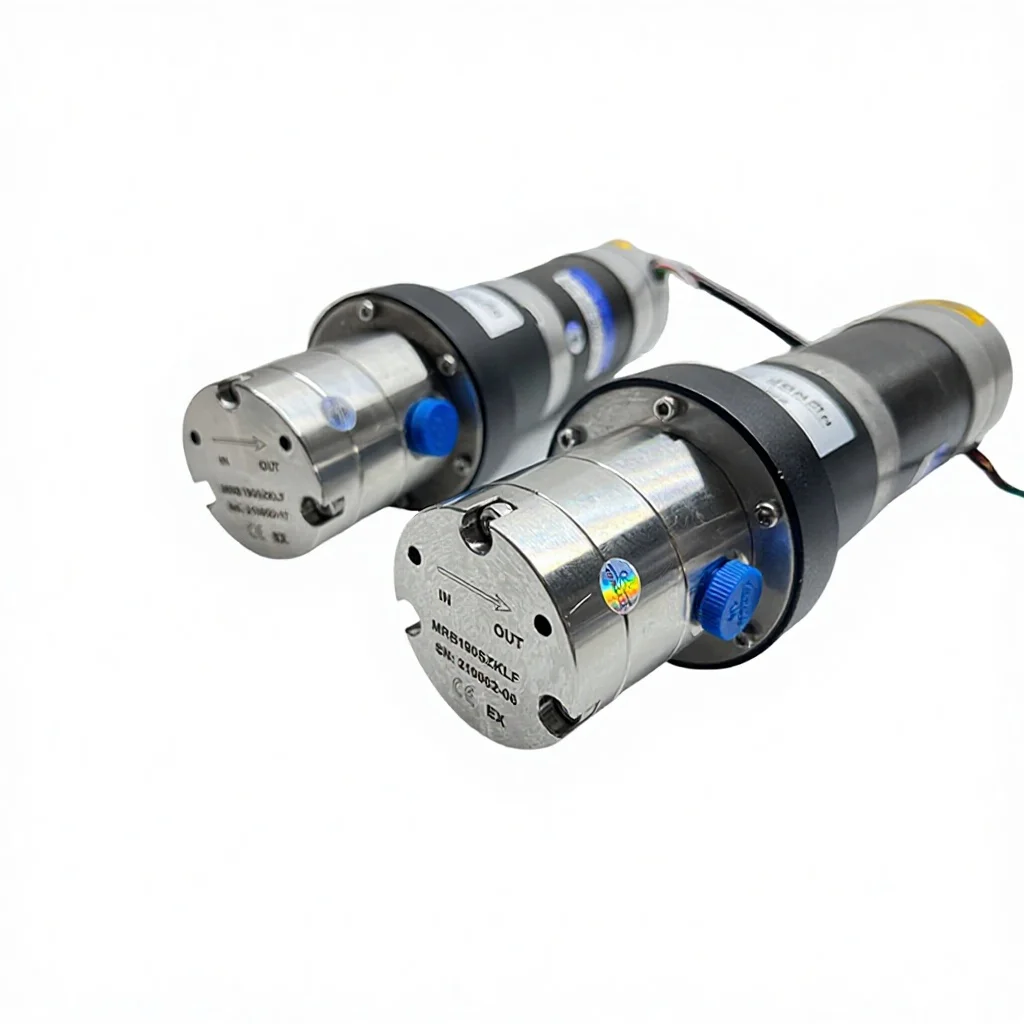 SS316L High Pressure Magnetic Drive Gear Pump with DC Brushless Motor Customizable for Industrial Use Long Service Life