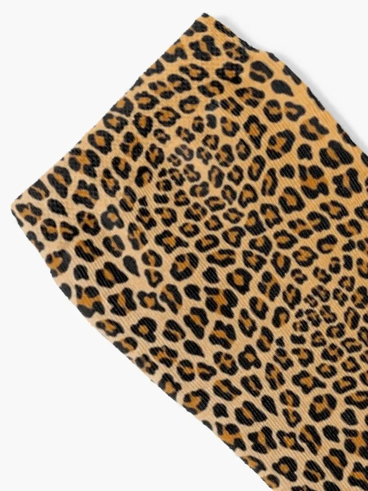 Leopard print Socks new in's gift Designer Man Socks Women's