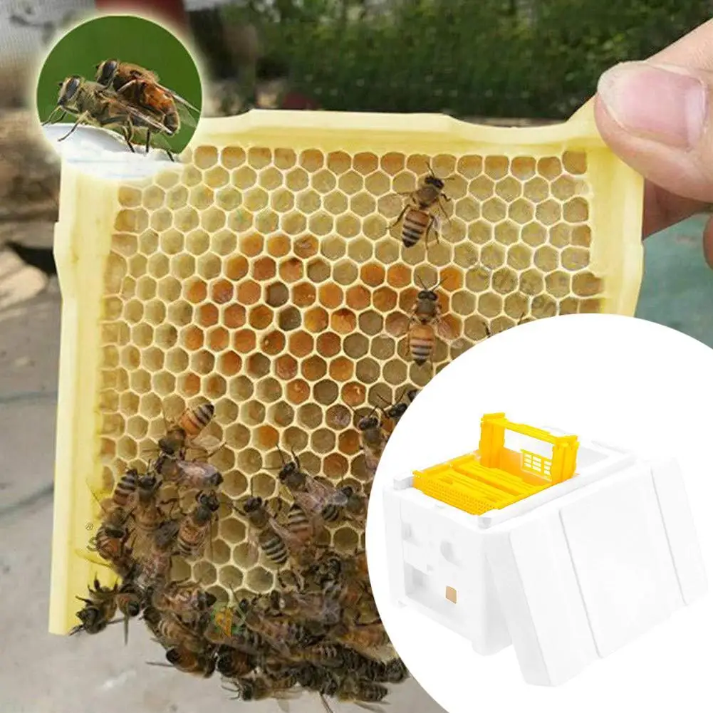 1PCS Beehive Beekeeping Box Foam Bee Breeding Box Queen King Bee Hives Boxes Pollination Bee House Beekeeping Equipment