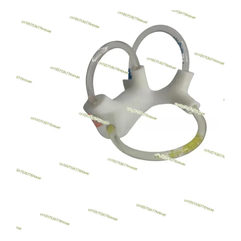 

semicircular canal otolith anatomy model Skeletal cochlear inner ear structure Cerebroneural vestibular rehabilitation.