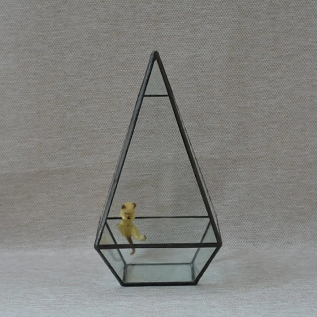 Piramida Przezroczyste szkło Geometryczne pudełko do terrarium Sadzarka na sukulenty Domowy ogród Uchwyt artystyczny Czarny 12 x 12 x 24 cm