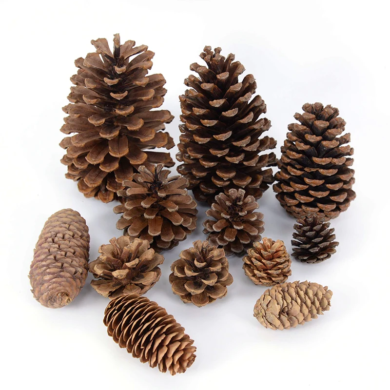 

Christmas Natural Pine Cone Nuts Fake Plant Artificial Flower Pineapple Cones For Xmas New Year Home Decor DIY Wreath Craft Gift