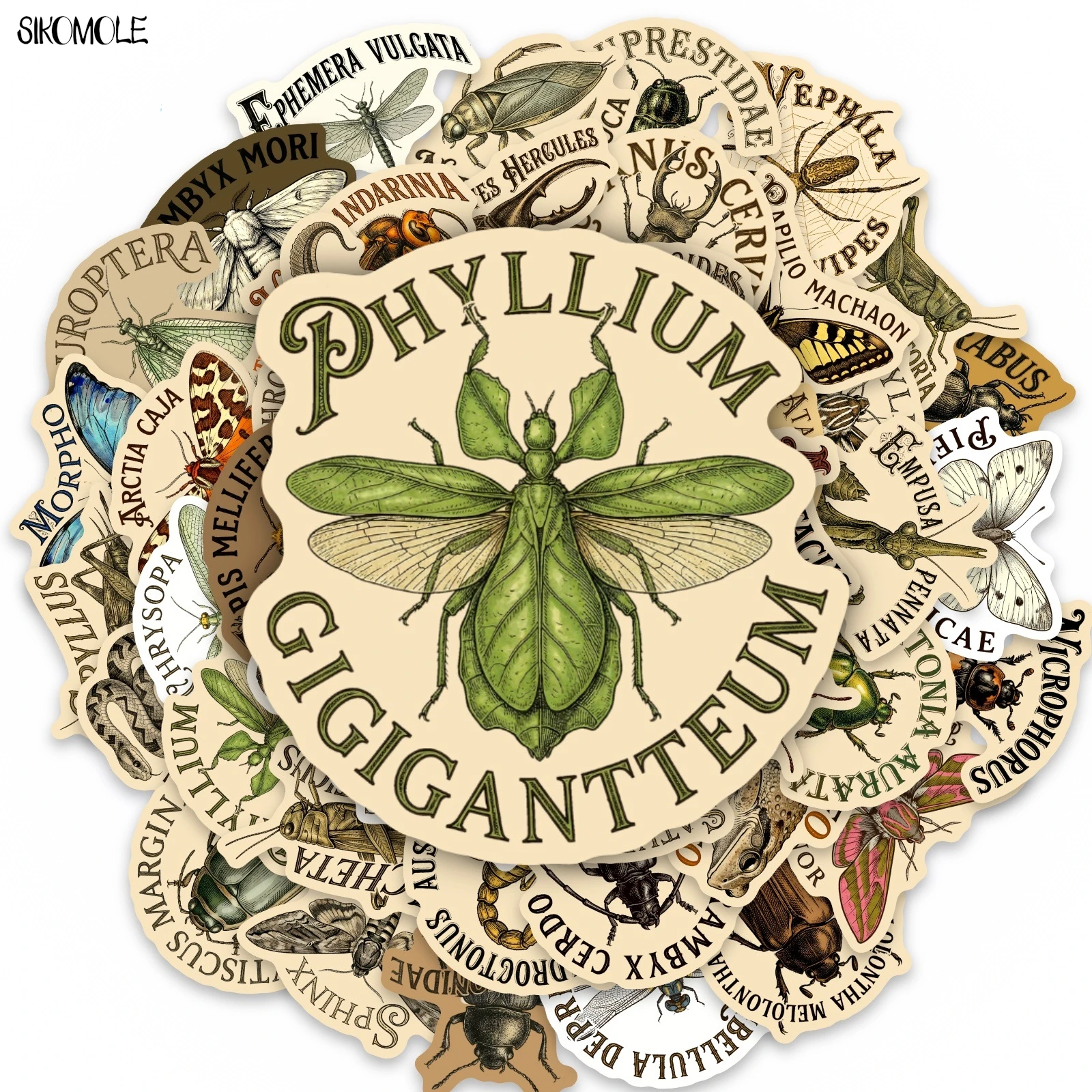 

10/30/50PCS Retro Hand Drawn Natural Insect Specimens Stickers Book DIY Skateboard Guitar Luggage Decoration Graffiti Sticker
