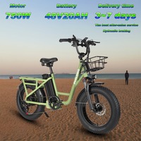 PHILODO T1 Electric Bicycle 750W Motor 48V20AH Battery Freight Ebike 20*40 Fat Tires All Over The Place Form Human Electric bike