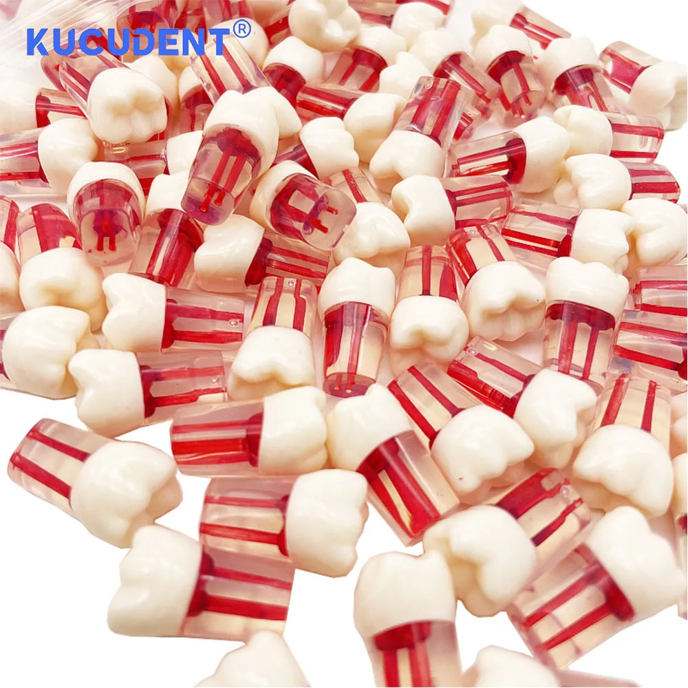 KUCUDENT 10Pcs Dental Endo Teeth Model Endodontic Root Canal Practice Block RCT Pulp Cavity Resin Dentistry Training Study M8006