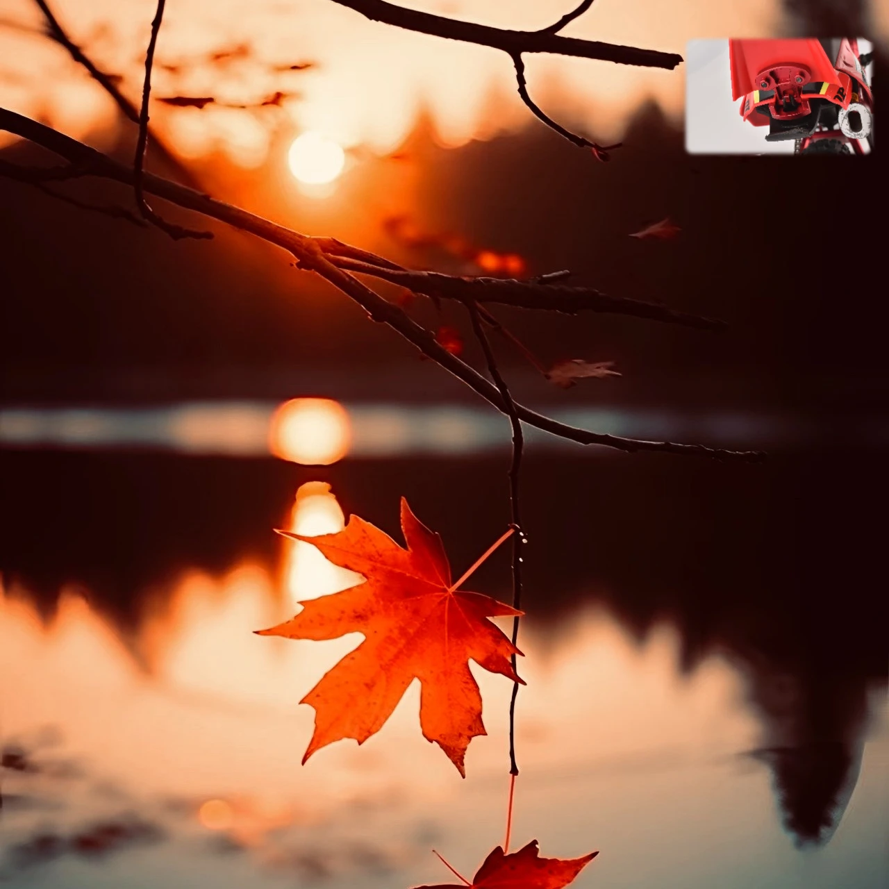 Zestaw mocowań błotnika tylnego GPM Alloy 7075 LOSI 1/4 Promoto MX SM Motorcycle LOS06000