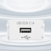 128-Type USB Power Module 220V Socket 5V Transformer 2.1A USB  Mobile Phone Charging Power Socket Switching Adapter ﻿