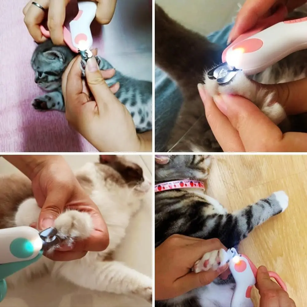 LED Light Pet Nail Clipper Creative Accurate Cutting Grooming Tool Dog Claw Clipper Cat Claw Trimmer Pet Supplies