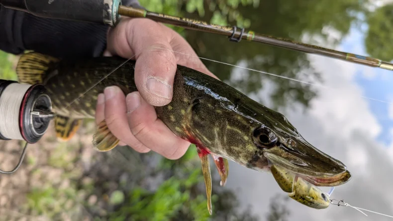 Kingdom 2-teiliger Minnow-Köder, 2,3 g, 37 mm, schwimmender S-förmiger harter Wobble-Topwater-Swimbaits, künstlicher Köder zum Forellen-Barschangeln – Detail 7