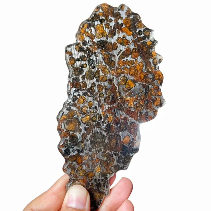 Premium Kenya Sericho Pallasite Meteorite Slice Unique Dense Crystal Pattern Space Stone for Collection & Display QA860