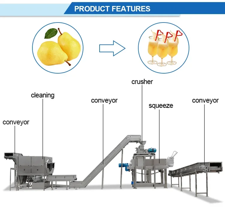 Kitchen waste paper pulp waste grain cassava vegetable screw press Napier grass production line