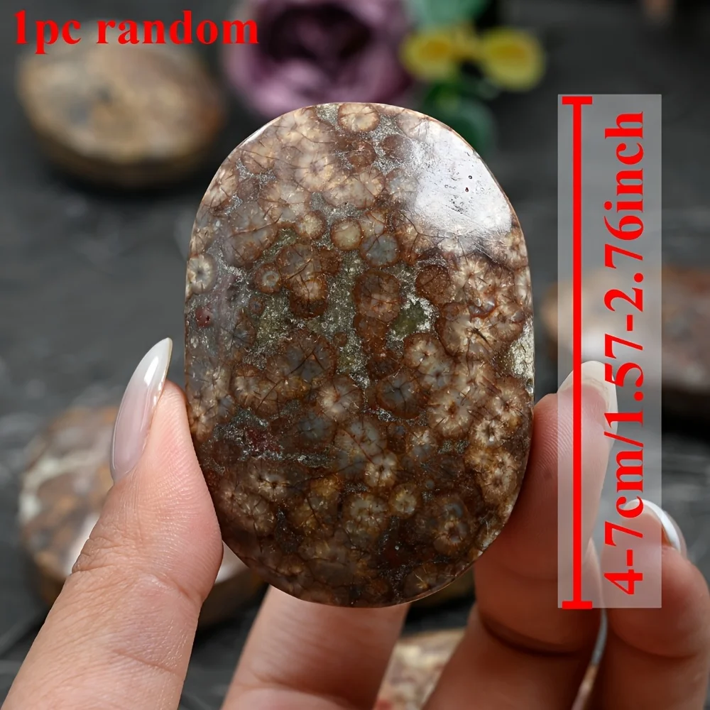 Random Natural Dandelion Agate Palm Stone, Loose Gemstones, Polished Crystal Palm Stone with Unique Patterns Like Dandelion