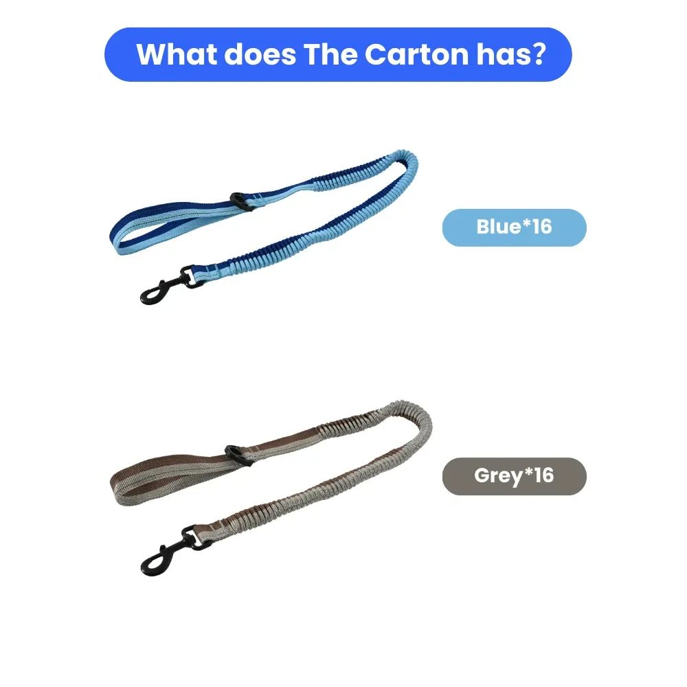 32PCS/Carton 2 Colors Assorted Shock Absorbing Bungee Dog Leash Elastic Pet Lead with Padded Handle and Metal Hook for Walking Training