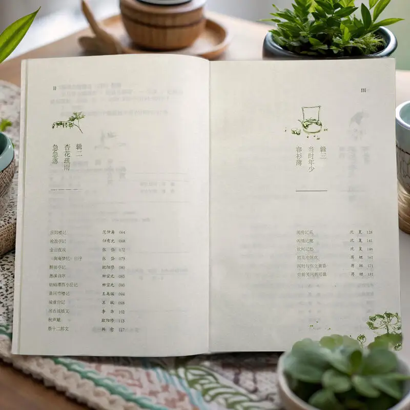 Slow Journey Through Spring Mountains: Reise-Essays mit Poesie!