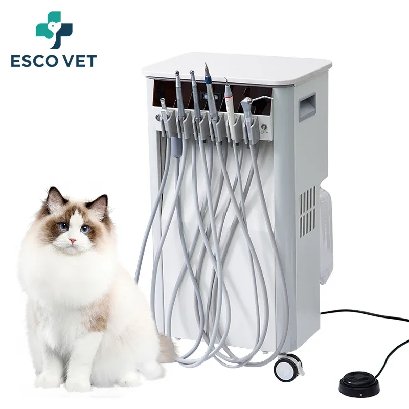 

Esco Vet Use Mini CE Approved Suitcase Dental Suction Unit Set Portable Dental Air Compressor Build In Mobile Dental Unit