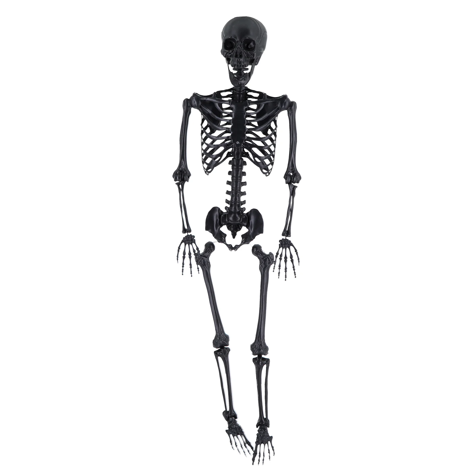 

Event Planner Organizer with Calendar Halloween Skeleton Prop Deco Halloween Skeleton Life Size Full Body Posable Joints