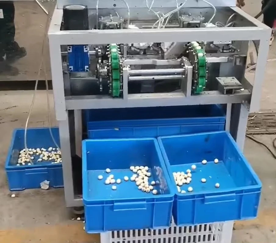 Fresh lotus seed shelling machine, lotus core peeling nut peeling treatment, lotus core separation extractor