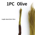 1PC Olive
