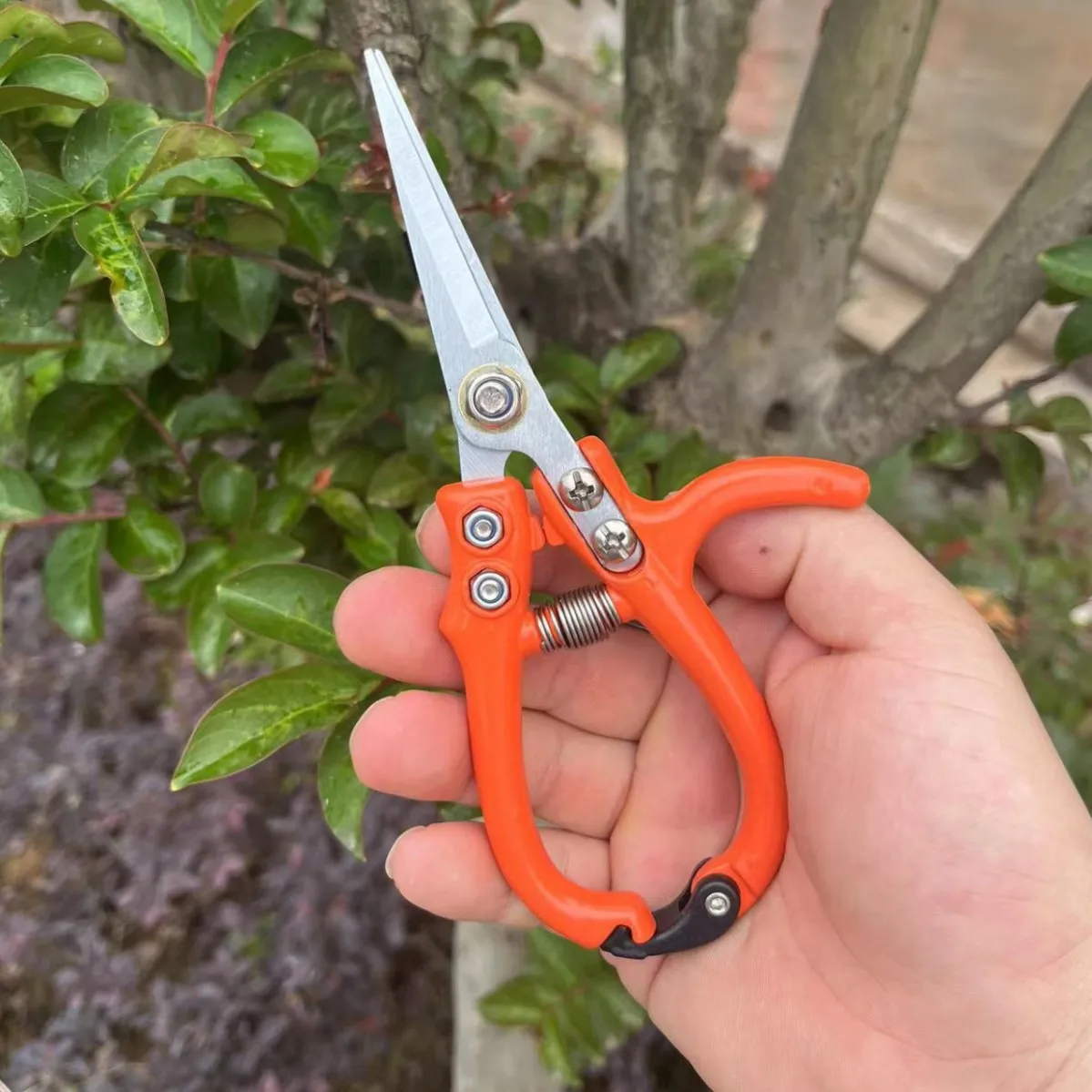 Branch Pruning Horticulture Pruning Pruning Home Use Labor-Saving Flower Pruning Branch and Flower Construction Scissors