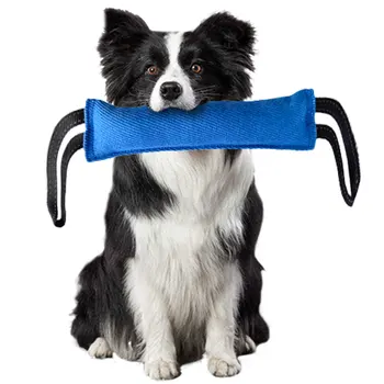 Jute Dog Tug Bite Pillow 4
