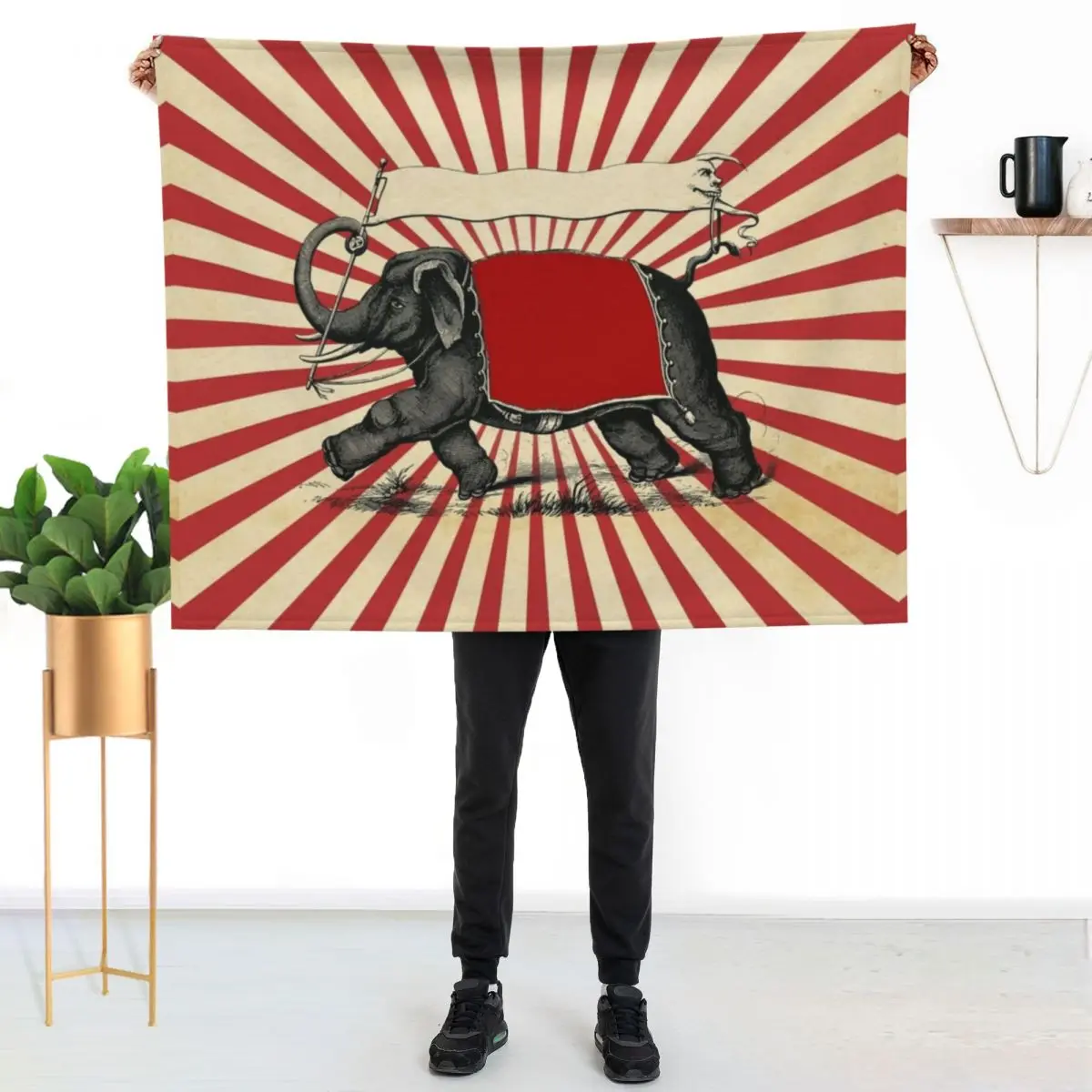 Circus Elephant Vintage Poster Pop Wall Street Art Throw Blanket Thermal warm winter Luxury St Luxury Designer Blankets