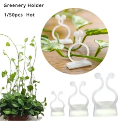 1-50Pcs Plant Climbing Wall Clip Acrylic Sticker Self-adhesive Hook Plant Vine Traction Fixator Indoor and Outdoor Decoration