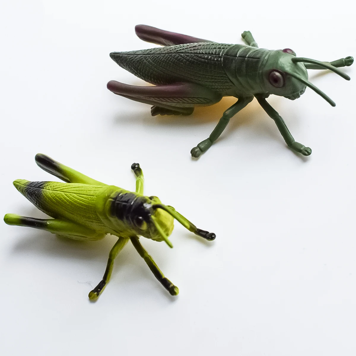 2 Types of Simulated Insect Models | Locusts | Garden Decoration Ornaments | Desktop Decorations | Teaching Aids | Children's Understanding of Insects | Early Education at Home | Birthday Anniversary Party Holiday Gifts | Halloween, Christmas, Hanukkah, Easter, Day of the Dead, Winter Gifts | Festive Atmosphere Decorations