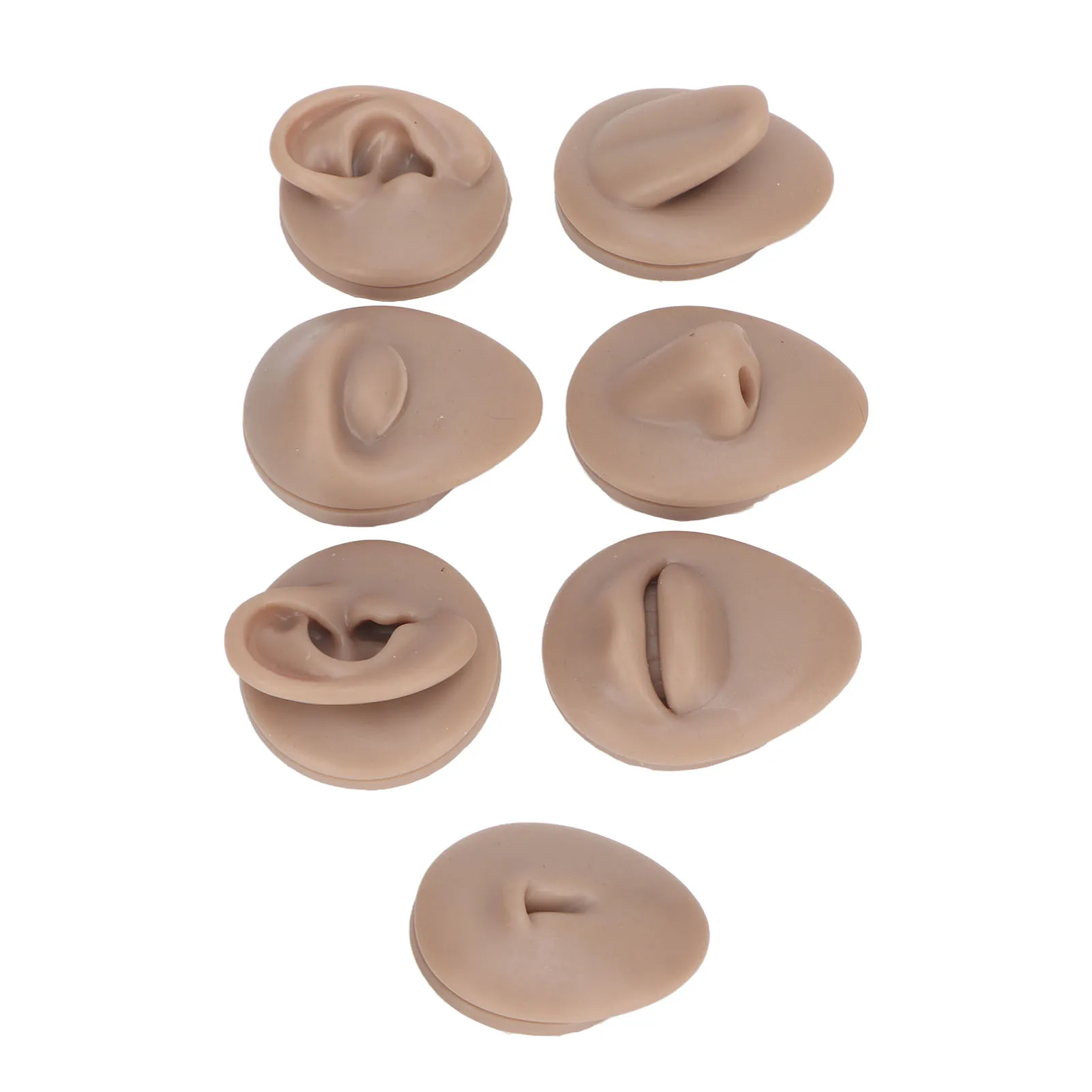 Silicone Human Face Body Model Display