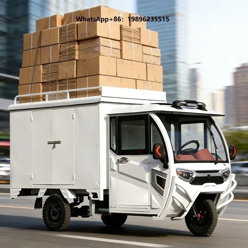 New 60V 3 Wheel Electric Cargo Bike Closed Tri Cycle Motorcycle Electric Trike Tricycles with Spare Parts