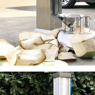 

Машина для очистки кокосов, электрическая машина для снятия кожуры с зеленых кокосов, машина для удаления кожуры с молодых кокосов