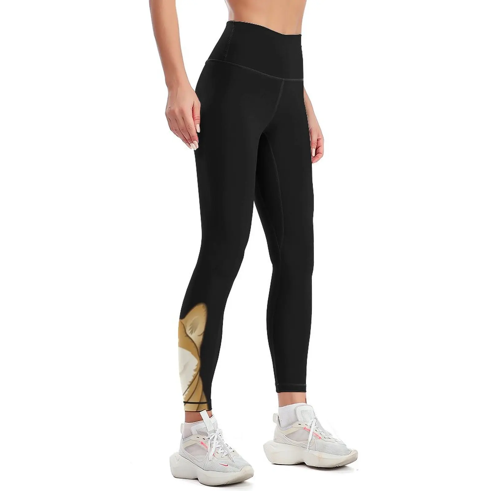 Shiba Inu Leggings gym's sportswear gym clothing Training pants Womens Leggings