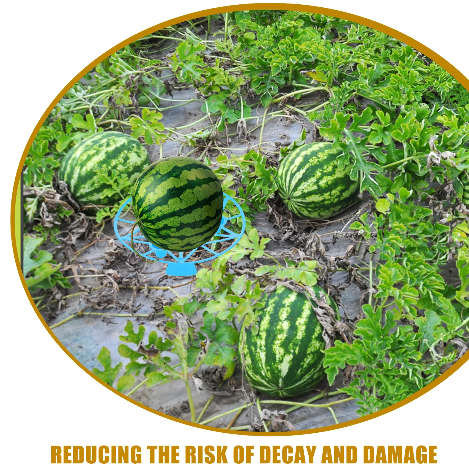 

10pcs Watermelon Growing Stand Durable Plastic Melon Support For Garden Farm Watermelon Holder Tray Plant Supports