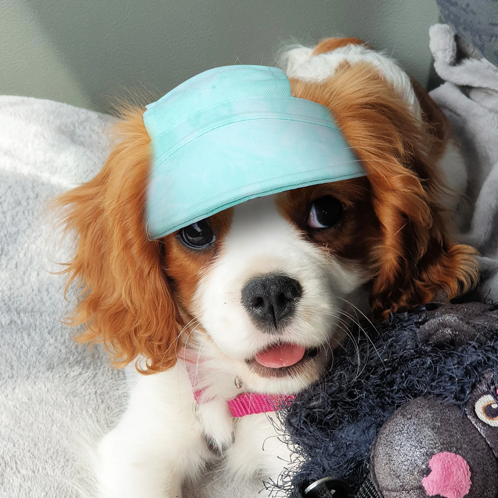 

2Pcs Pet Sun Protection Hat Wide Brim Ear Holes Design Adjustable Neck Strap for Outdoor Activities Pet Sun Hat