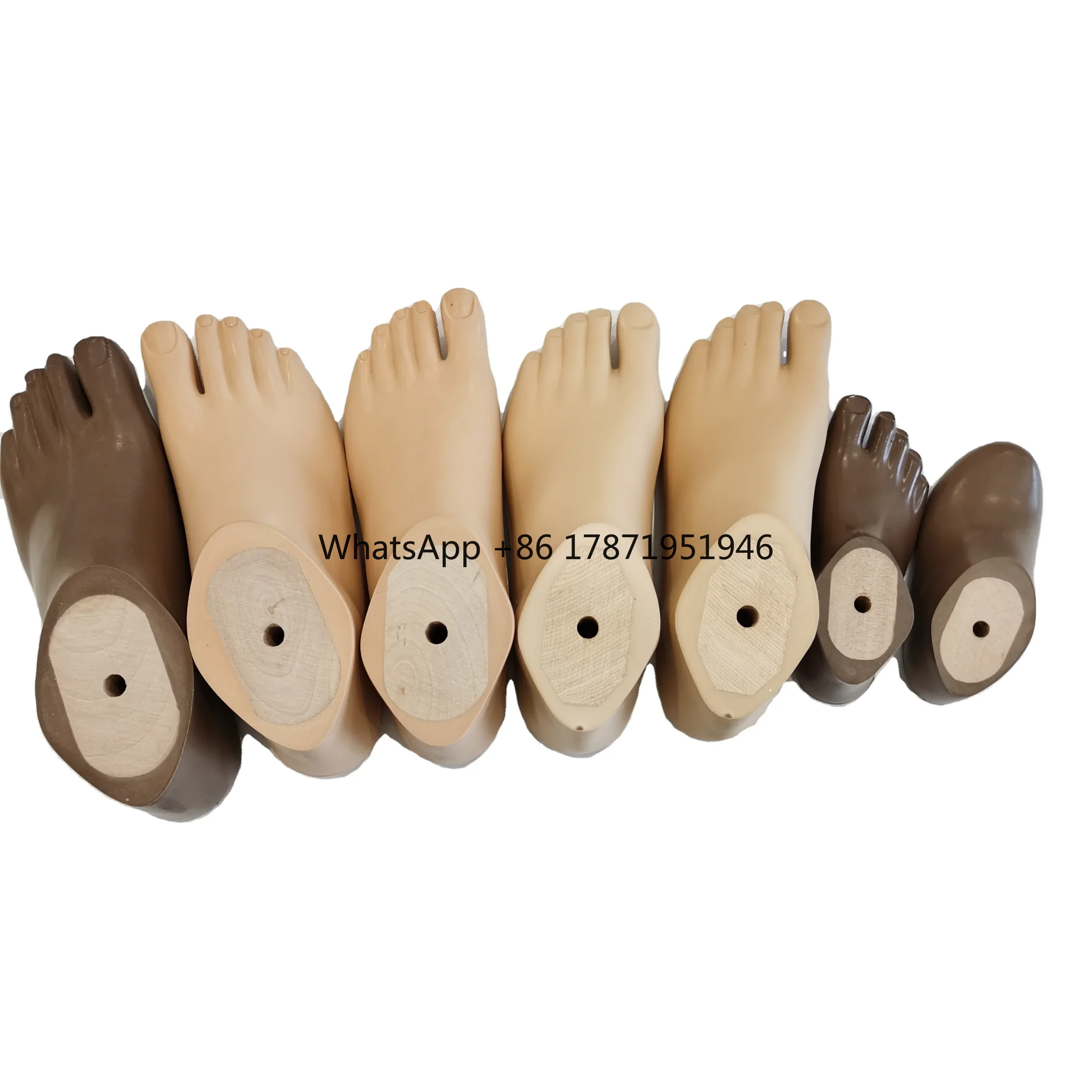 

Medical implant prosthetic leg parts Ankle foot prosthesis sach foot prosthetic leg artificial limb