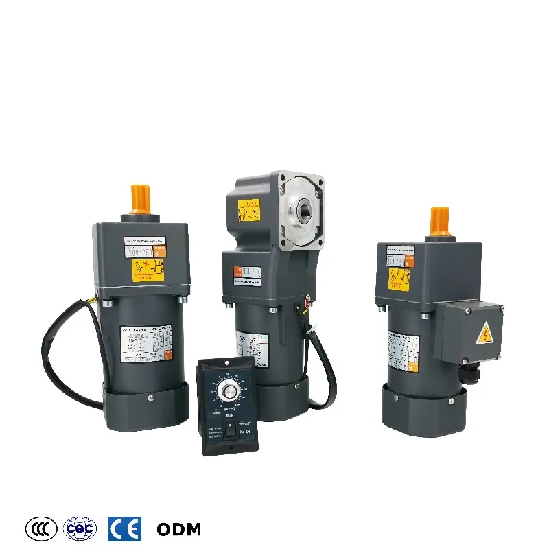 25W 40W 60w 90w 120w 180W 200w 250W AC 220V Induction Gear Motor With Speed Control  for Conveyor