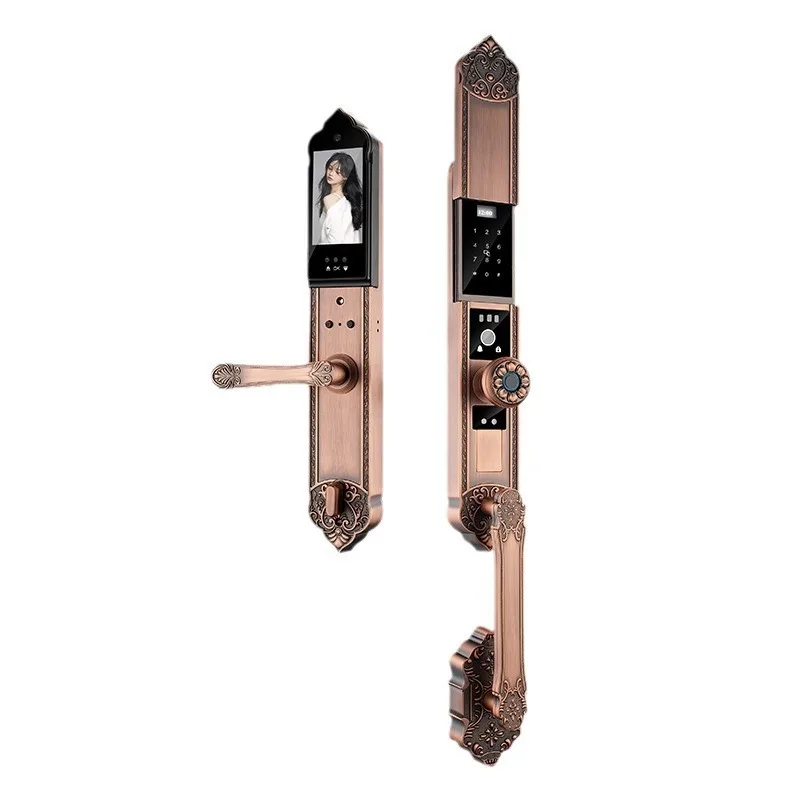 Facial recognition automatic smart lock, home security door entry door villa password lock