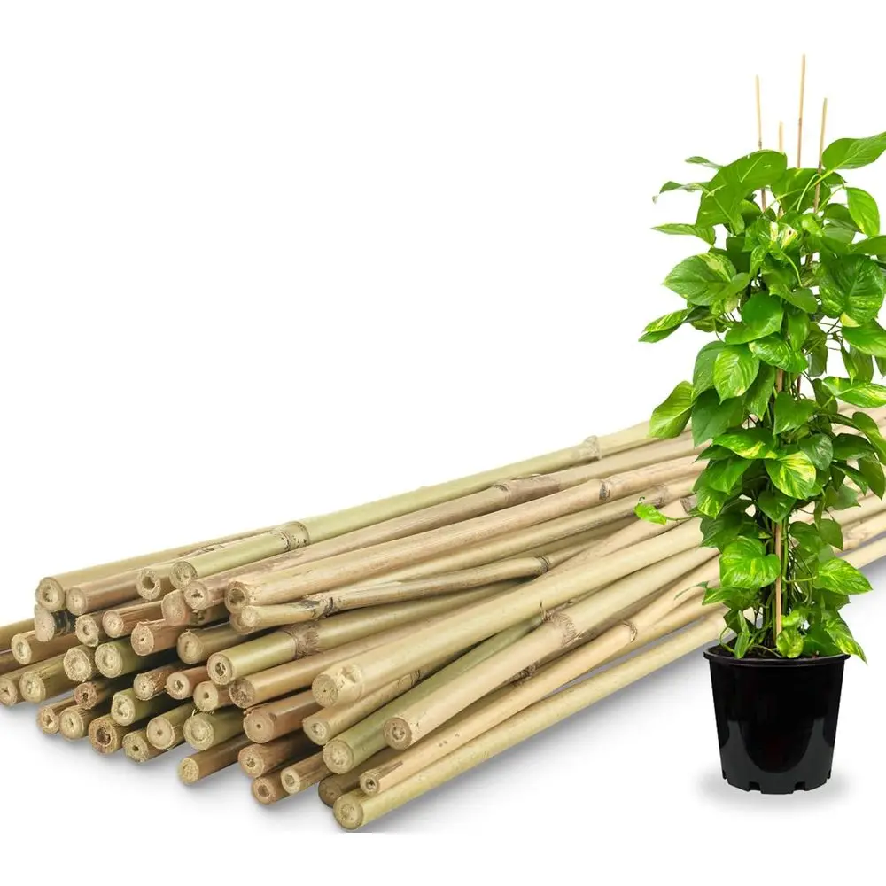 50 Pack Bamboo Plant Stakes for Indoor & Outdoor Garden Support, Ideal for Tomatoes, Vegetables, and Climbing Plants (0.32-0.4''