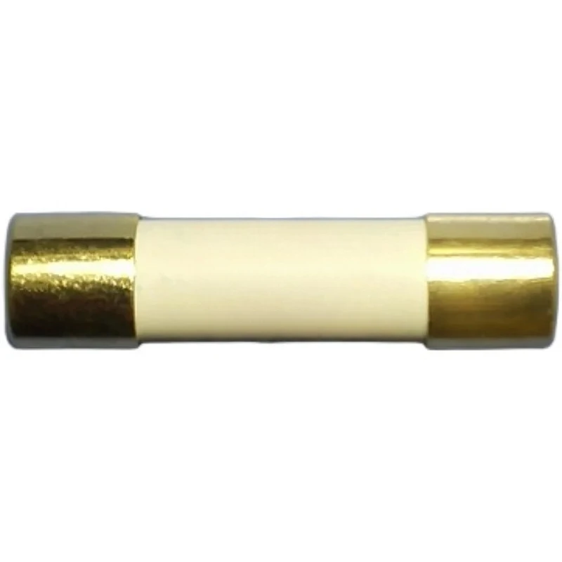 new 5PCS  T2AH250V CD audio power amplifier bile machine HIFI gold cap silver fuse tube 2 a 250 v 5 x20