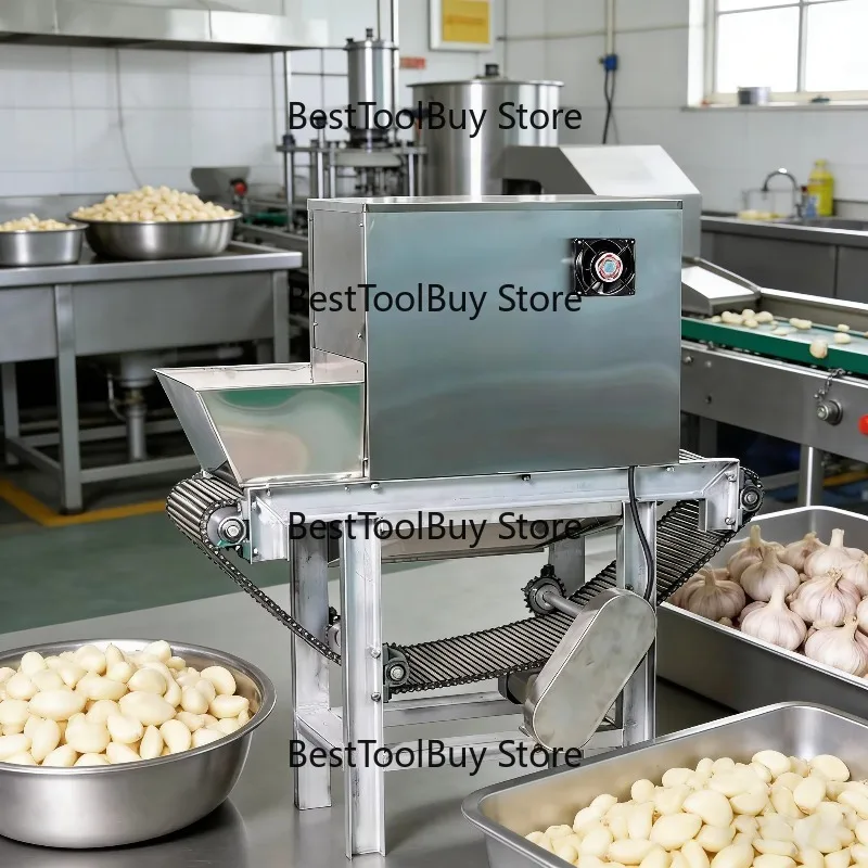 Garlic Peeling Machine Chain Type All Setup Electric Peeling Machine for Garlic Industrial