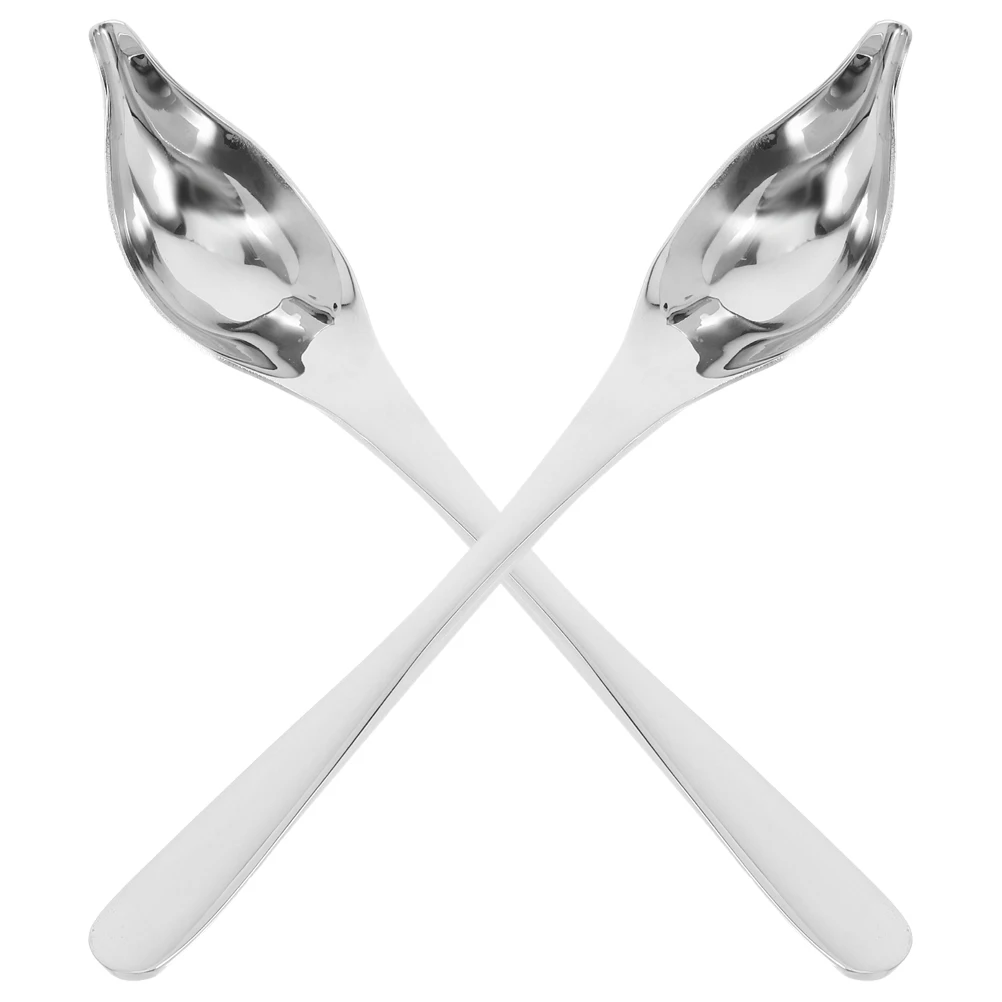 

2 Pcs Stainless Steel Decorative Spoon Spoons Cake Pastry Tool Culinary Drawing