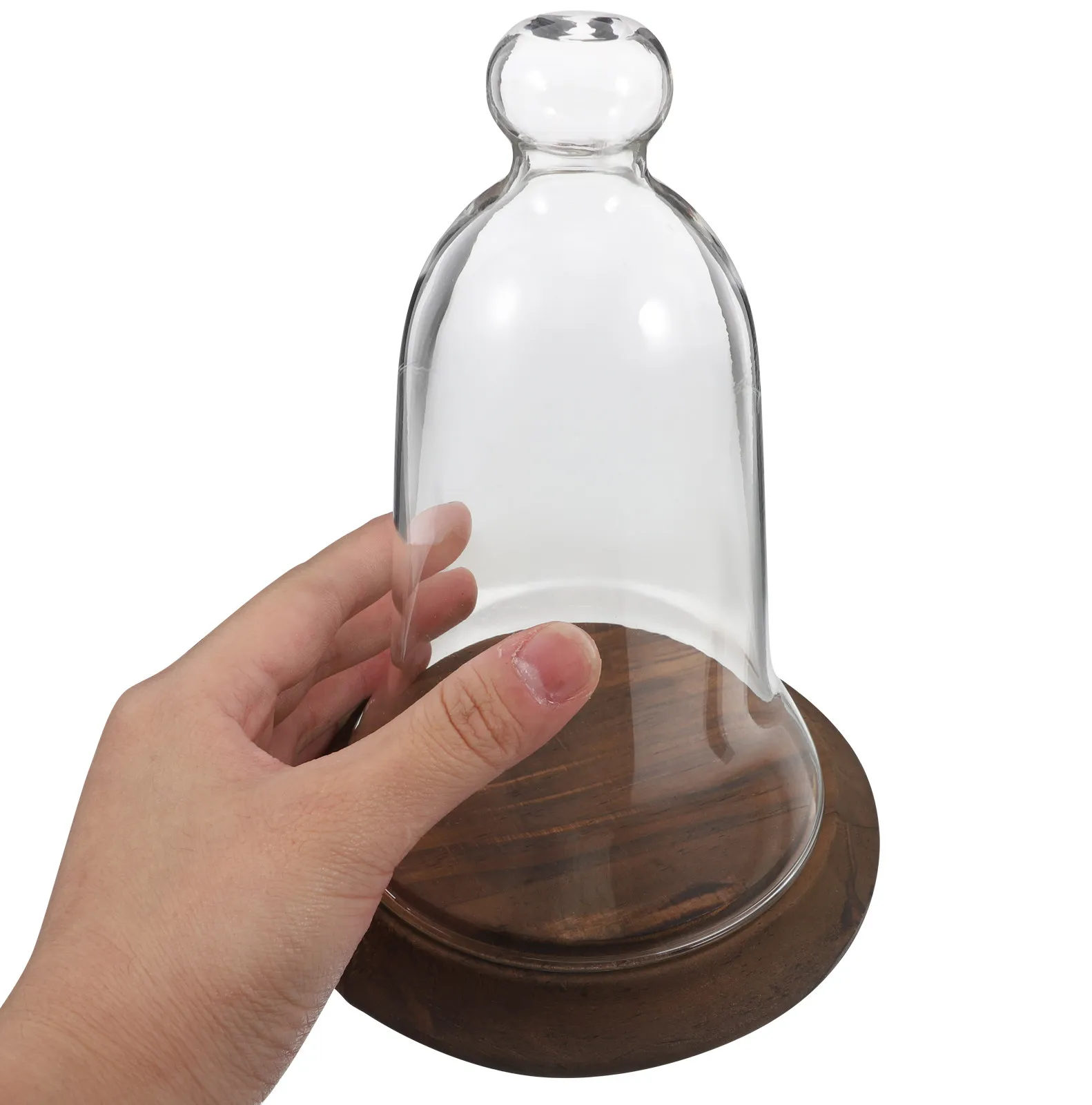 Glass Dome Clear Cloche Display Bell Jar for Flower Succulents Preserved Plants Table Decoration Wooden Base Clear Display Dome