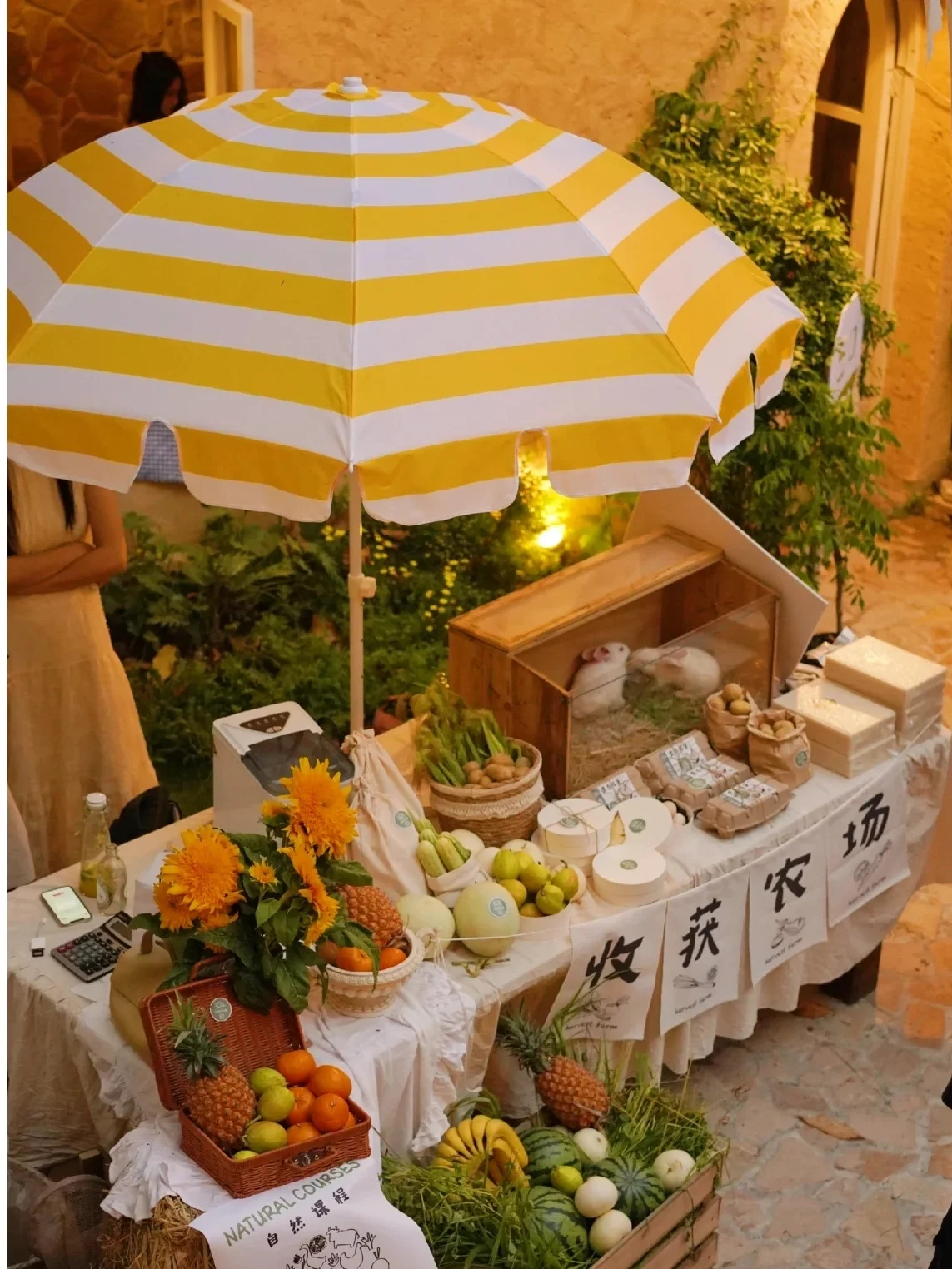 

Market Yellow Beach Umbrella Pink Beach Leisure Sun Umbrella Snack Bar Camper Car Stall Garden Courtyard Umbrella