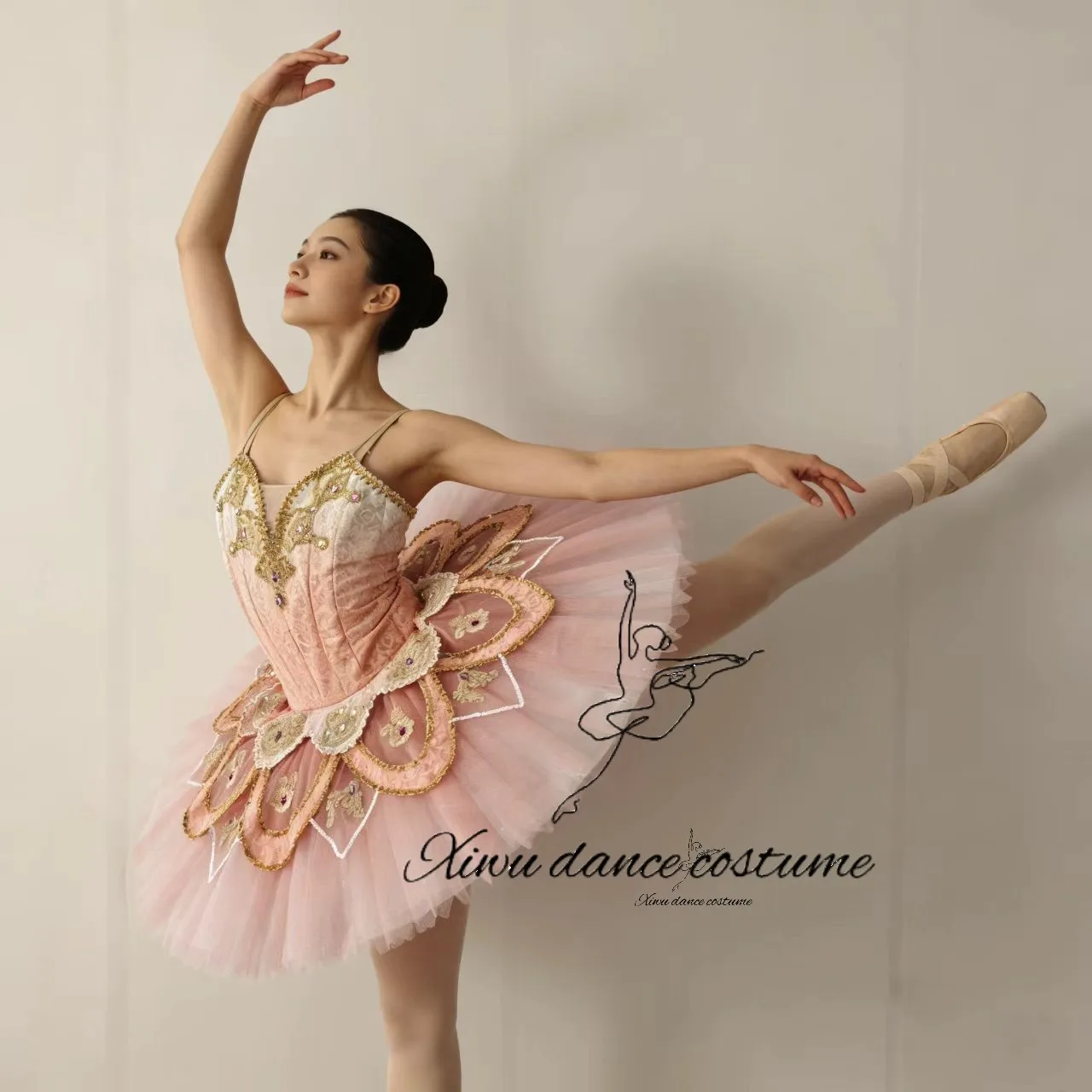 Tutú de Ballet Profesional Rosa Candy Fairy con Bordado Dorado